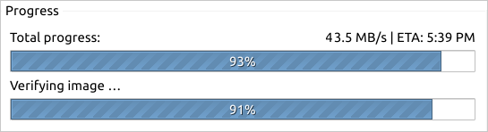 Example of the progress bars during an active process